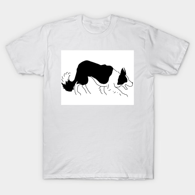 Border collie T-Shirt by Noamdelf06